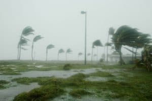 2005's Hurricane Dennis in Key West, FL